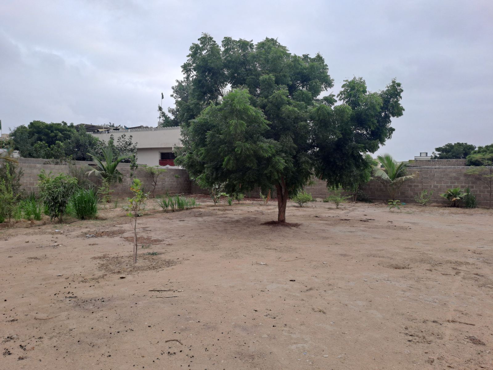 IFZK site assessment image 6